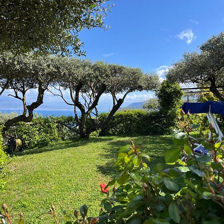 Sorrento Olive Tree Garden Hotel Kültér fotó