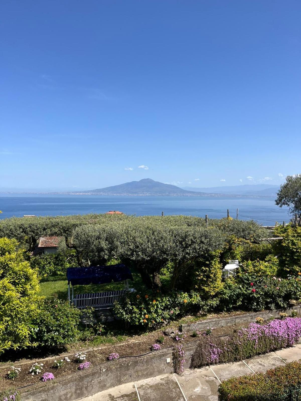 Sorrento Olive Tree Garden Hotel Kültér fotó