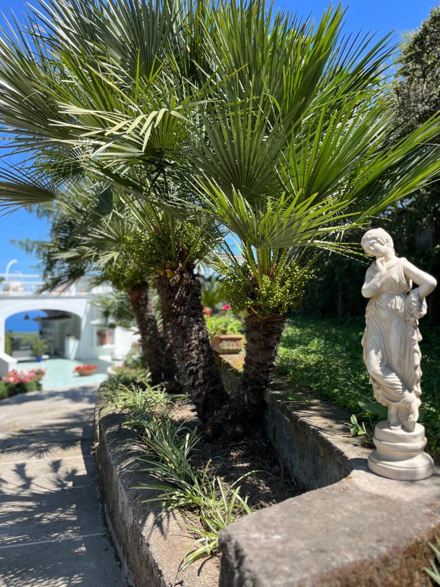 Sorrento Olive Tree Garden Hotel Kültér fotó