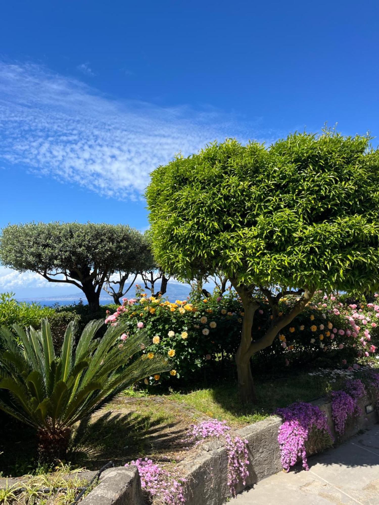 Sorrento Olive Tree Garden Hotel Kültér fotó